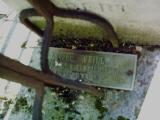 image of grave number 384254